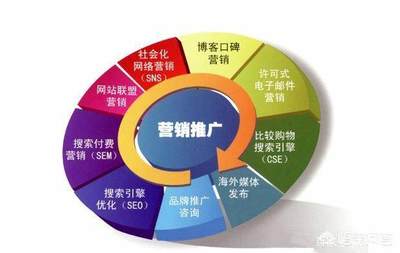 如何進入互聯(lián)網(wǎng)行業(yè) 聚焦技術(shù)開發(fā)與銷售雙路徑